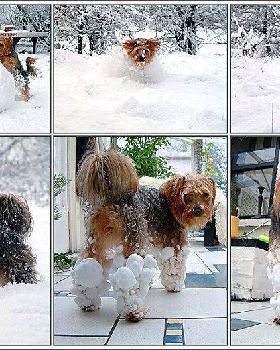 snow
