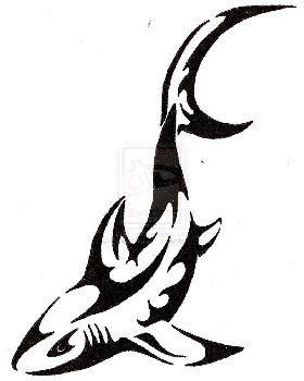 Streamline Shark Tattoo by CaptainMorwen