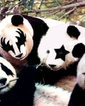 kiss pandas