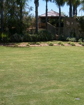 lawn