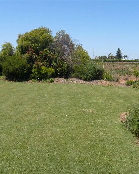 lawn2