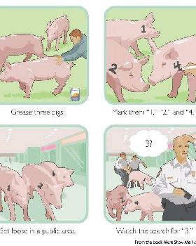 pig-prank