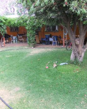 desperate lawns
