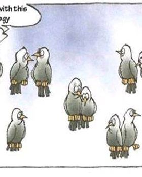 wireless