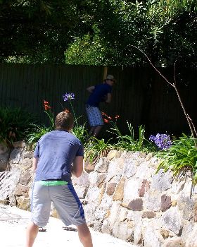 Back yard cricket