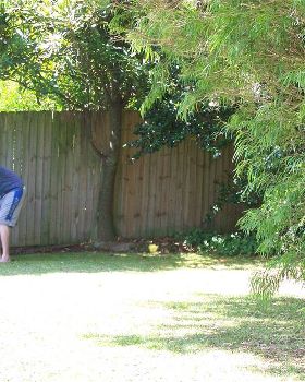 Back yard cricket