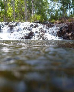 water hole