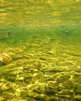 water hole
