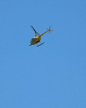 tried out my new Lumix FZ40