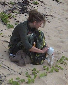sand