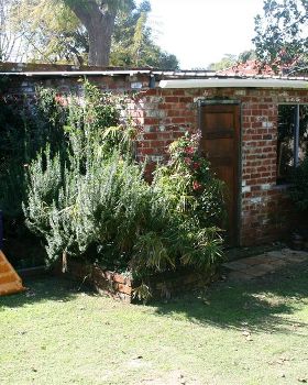 Shed