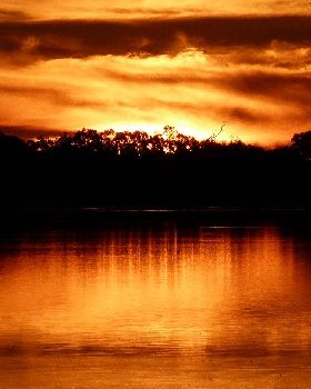 sunset yellow