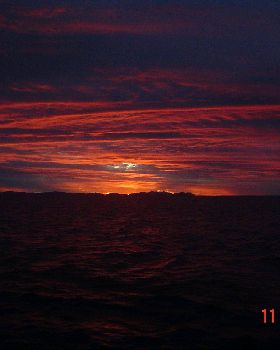 DSC00746