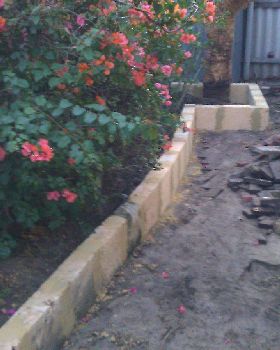 IMAG0063