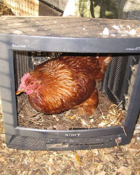 A good use of an old TV