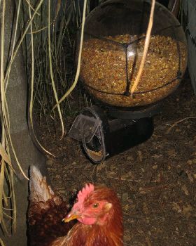 Feeder made from old light fitting