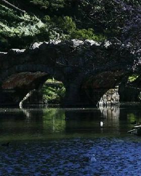 peaceful