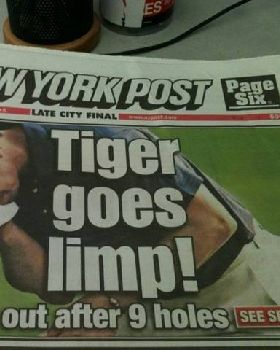tiger
