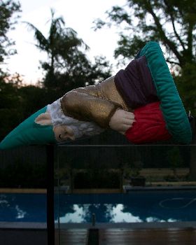 Plankagnome