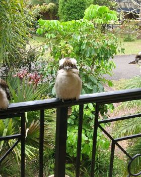 Hawks Nest 2009 063