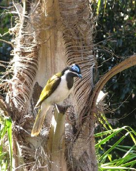 Hawks Nest 2009 042