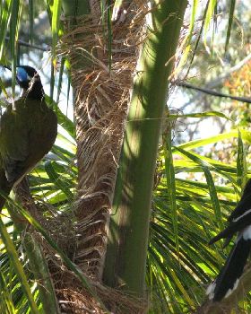 Hawks Nest 2009 043