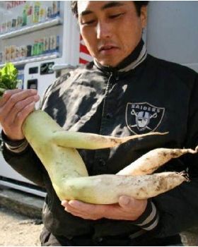veg2