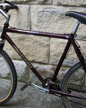 Mountain Bike
