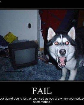 for Doggie