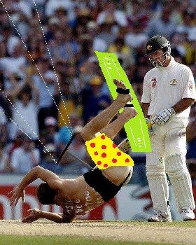 cricket2