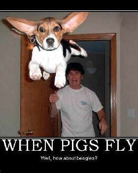 when-pigs-fly-dog-animal-fly-beagle-demotivational-posters-1322661187
