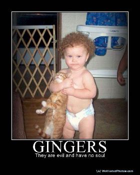 tn 633905063920168385-gingers