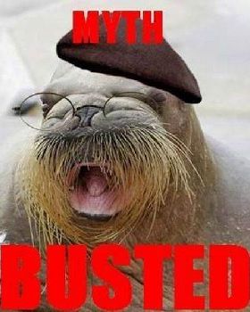 daily picdump 542 640 67