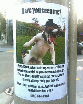Funny-lost-missing-signs19