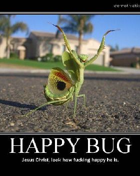 84817 happy bug 123 89lo