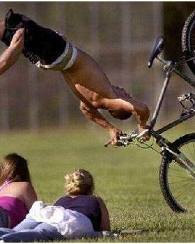 bike ly