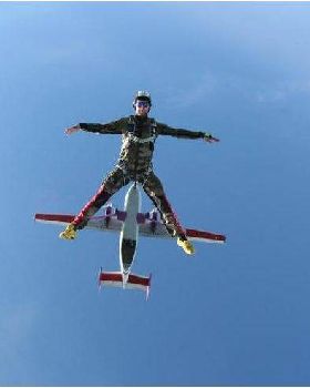 fly33