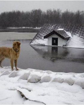 snow