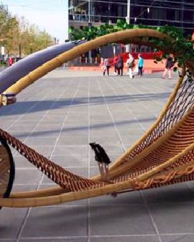 bamboo bike