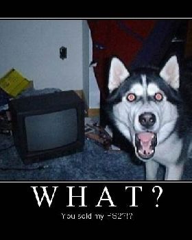 doggie