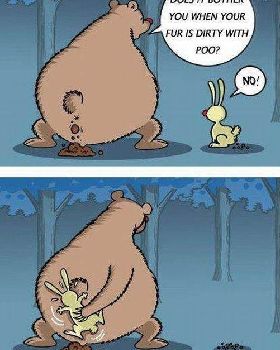 Fur dirty with poo
