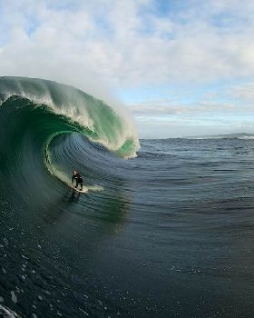 wa chris rossOrd