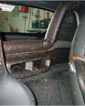 porche3