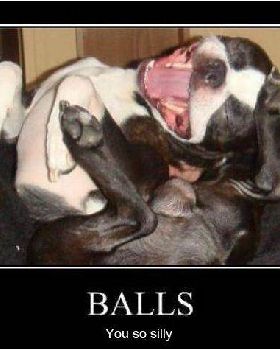 balls345