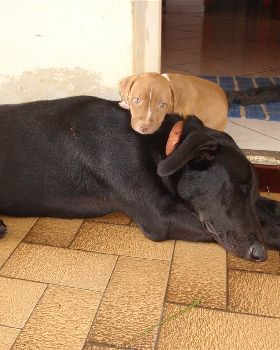 P1150040