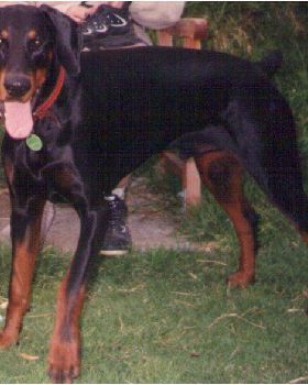 Monty1