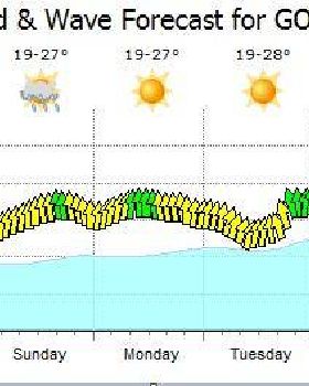 forecast