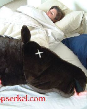 horsehead%20(6)