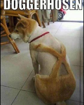 doggerhosen