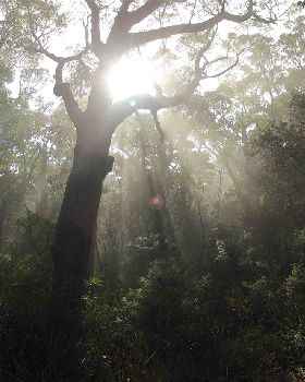tasmania